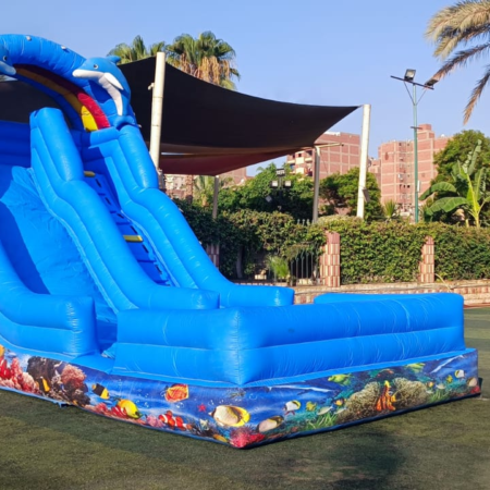 زحليقه نفخ دولفن ببسين علي المياه تستخدم في حفلات اعياد الميلاد وحفلات الفن داي متوفر اكبر تشكيله من العاب النفخ المائيه هابي كرنفال لتنظيم الحفلات